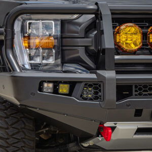WebReady-Premium Bull Bar to suit Ford F-150-1
