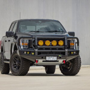 WebReady-Premium Bull Bar to suit Ford F-150-4